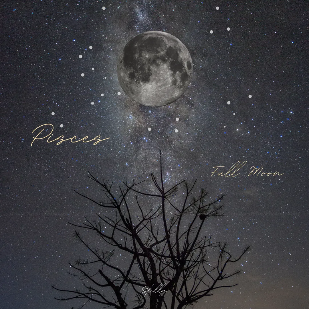 影が光となる半年間。