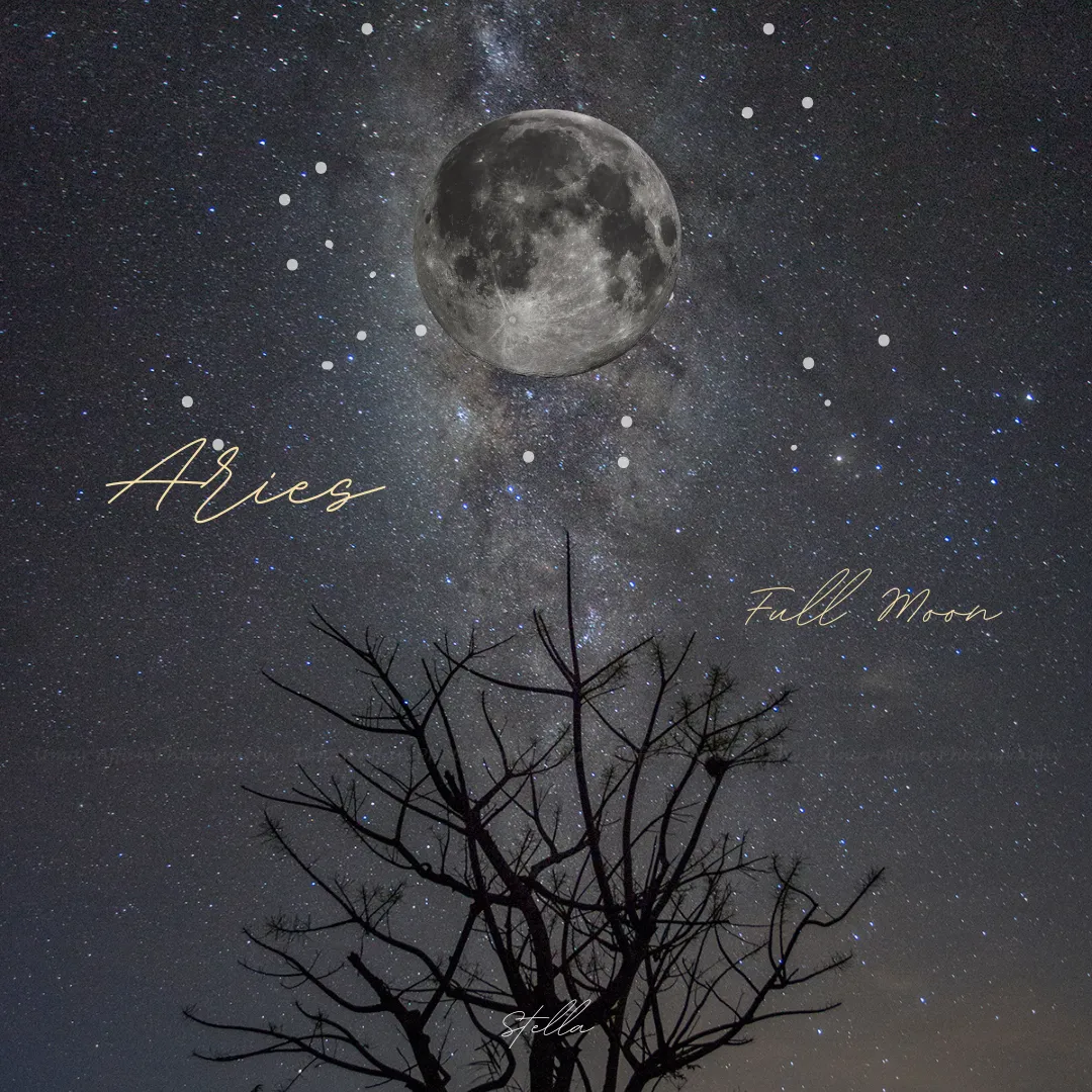 人生を立てなおす。