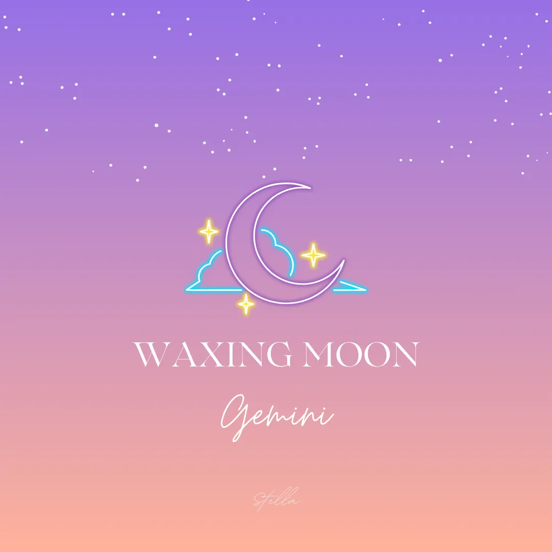 内側のアップデート。